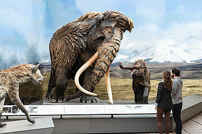  Eiszeit, Mammut, © Haus der Natur/Simmerstatter