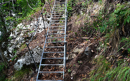 Miesweg (c) Daniela Kratky