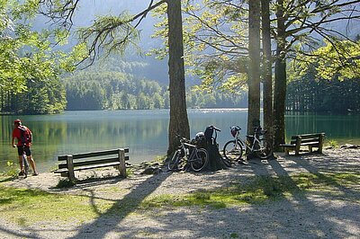 Mountainbiken am Langbathsee (c) Spengler