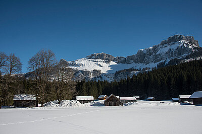  Langlaufen auf der Blaa Alm, © STMG, Fotograf: Wolfgang Stadler
