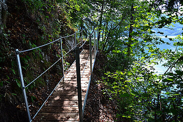 Miesweg (c) Daniela Kratky